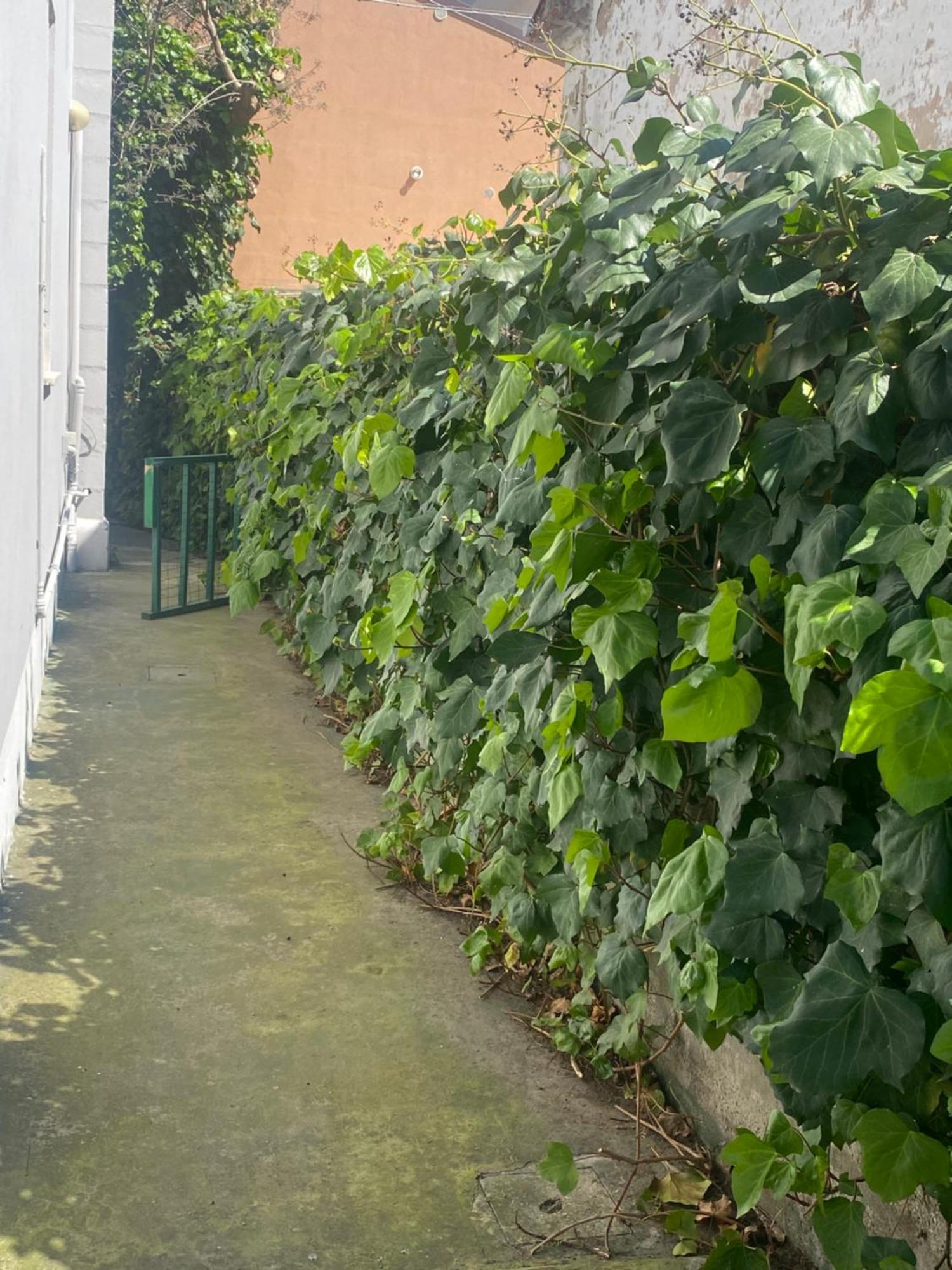 Casa Elisa 8 Villa Bellaria-Igea Marina Dış mekan fotoğraf